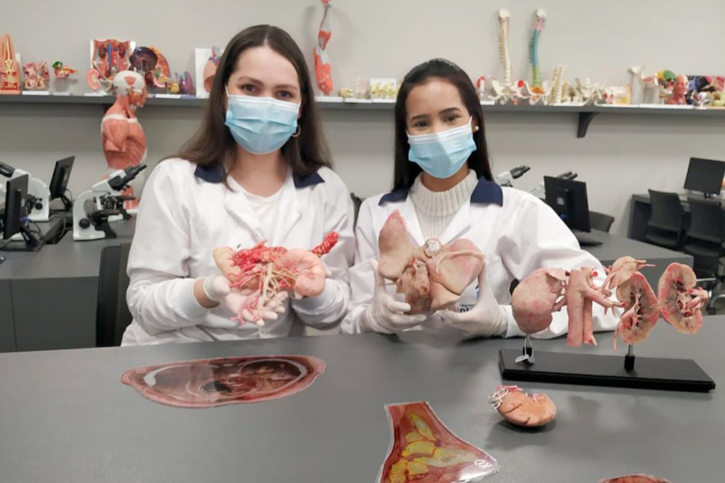 alunas estudando com plastinados von Hagens