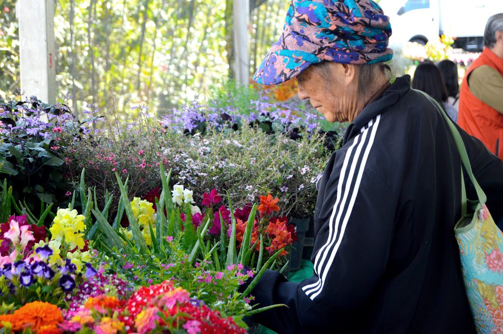 Pessoa idosa observando flores coloridas em uma feira de plantas e flores.